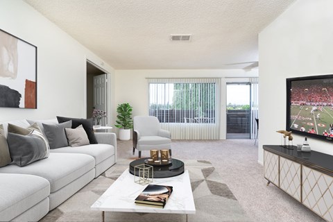 a living room with a couch and a coffee table and a television